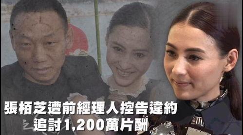 吃瓜娱乐666,揭秘娱乐圈幕后故事