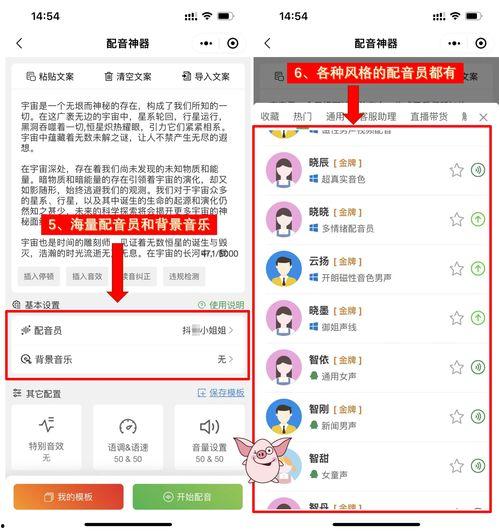 娱乐吃瓜配音用什么软件,轻松打造趣味横生的配音体验